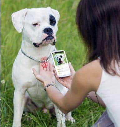 dog with Google Beacon